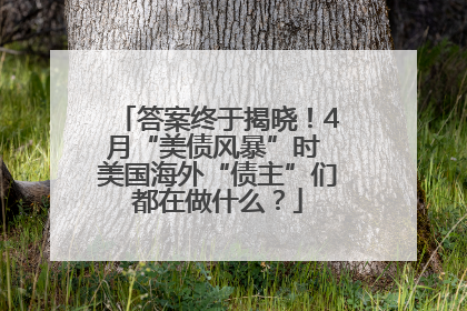 答案终于揭晓！4月“美债风暴”时 美国海外“债主”们都在做什么？