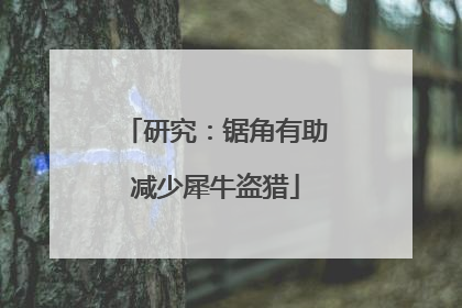 研究：锯角有助减少犀牛盗猎