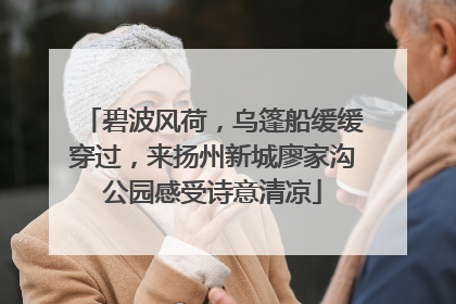 碧波风荷，乌篷船缓缓穿过，来扬州新城廖家沟公园感受诗意清凉