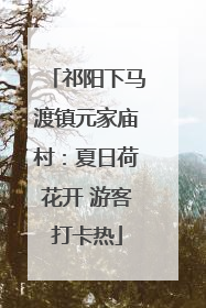 祁阳下马渡镇元家庙村：夏日荷花开 游客打卡热