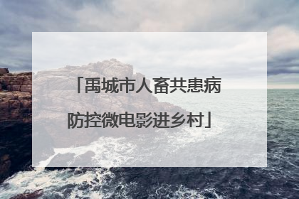 禹城市人畜共患病防控微电影进乡村