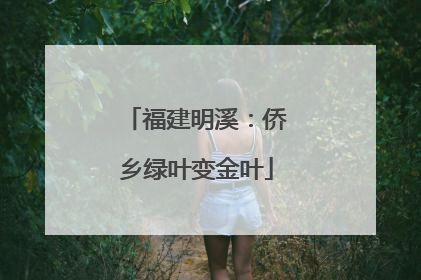 福建明溪：侨乡绿叶变金叶