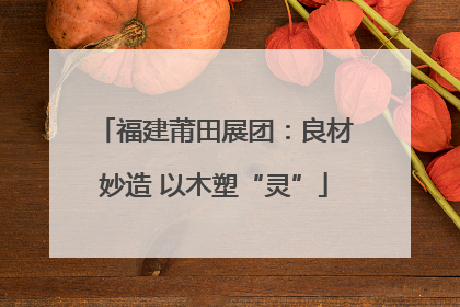 福建莆田展团：良材妙造 以木塑“灵”