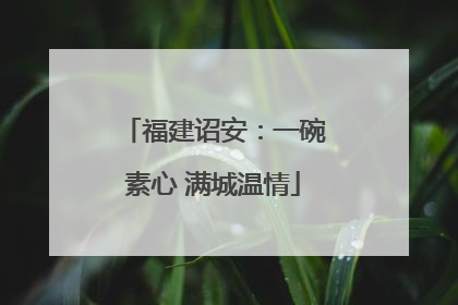 福建诏安：一碗素心 满城温情