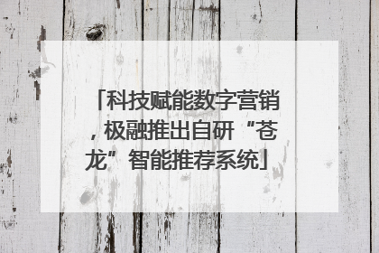 科技赋能数字营销，极融推出自研“苍龙”智能推荐系统