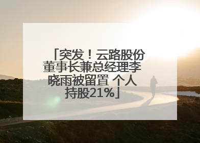 突发！云路股份董事长兼总经理李晓雨被留置 个人持股21%