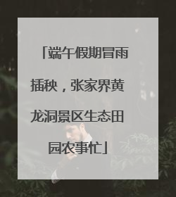 端午假期冒雨插秧，张家界黄龙洞景区生态田园农事忙