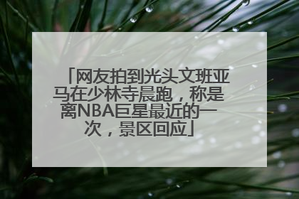 网友拍到光头文班亚马在少林寺晨跑，称是离NBA巨星最近的一次，景区回应