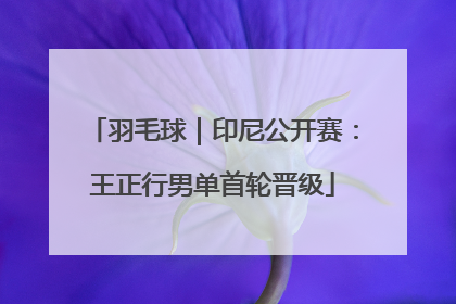 羽毛球｜印尼公开赛：王正行男单首轮晋级
