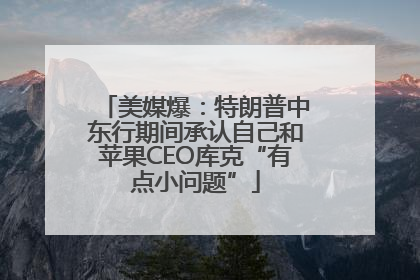 美媒爆：特朗普中东行期间承认自己和苹果CEO库克“有点小问题”