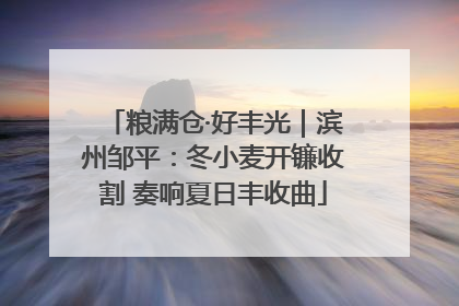 粮满仓·好丰光｜滨州邹平：冬小麦开镰收割 奏响夏日丰收曲