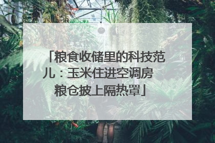 粮食收储里的科技范儿：玉米住进空调房 粮仓披上隔热罩