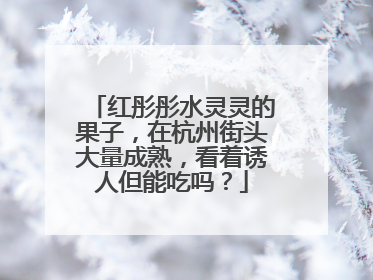 红彤彤水灵灵的果子，在杭州街头大量成熟，看着诱人但能吃吗？