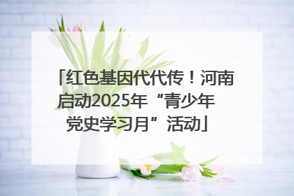 红色基因代代传！河南启动2025年“青少年党史学习月”活动