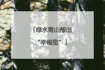 绿水青山酿出“幸福蜜”