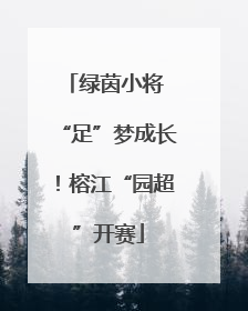绿茵小将 “足”梦成长！榕江“园超”开赛
