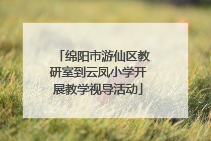 绵阳市游仙区教研室到云凤小学开展教学视导活动