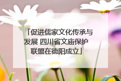 促进儒家文化传承与发展 四川省文庙保护联盟在德阳成立