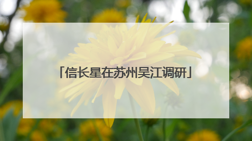 信长星在苏州吴江调研