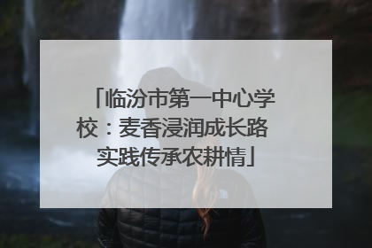 临汾市第一中心学校：麦香浸润成长路 实践传承农耕情