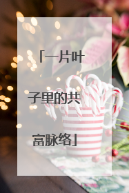 一片叶子里的共富脉络