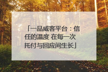 一品威客平台：信任的温度 在每一次托付与回应间生长