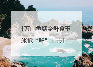 万山鱼塘乡鲜食玉米抢“鲜”上市