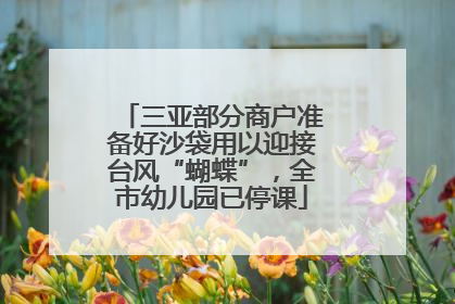 三亚部分商户准备好沙袋用以迎接台风“蝴蝶”，全市幼儿园已停课