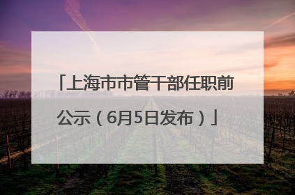 上海市市管干部任职前公示（6月5日发布）