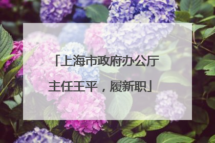 上海市政府办公厅主任王平，履新职