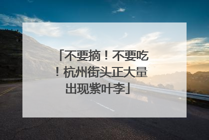 不要摘！不要吃！杭州街头正大量出现紫叶李
