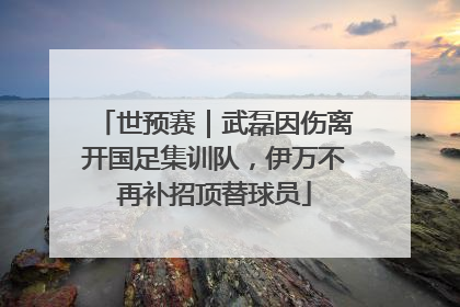 世预赛｜武磊因伤离开国足集训队，伊万不再补招顶替球员