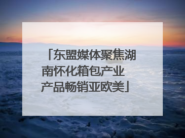 东盟媒体聚焦湖南怀化箱包产业 产品畅销亚欧美