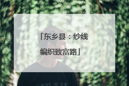 东乡县：纱线编织致富路