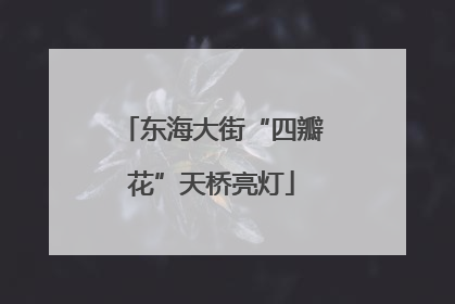 东海大街“四瓣花”天桥亮灯