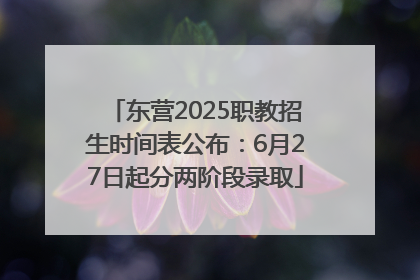 东营2025职教招生时间表公布：6月27日起分两阶段录取