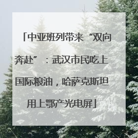 中亚班列带来“双向奔赴”：武汉市民吃上国际粮油，哈萨克斯坦用上鄂产光电屏