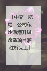 中交一航局二公司东沙渔港升级改造项目灌柱桩完工