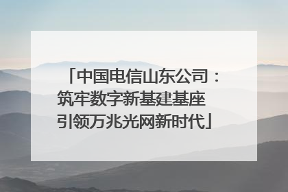中国电信山东公司：筑牢数字新基建基座 引领万兆光网新时代