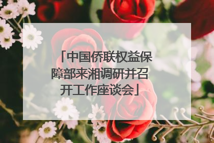 中国侨联权益保障部来湘调研并召开工作座谈会