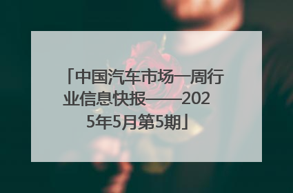 中国汽车市场一周行业信息快报——2025年5月第5期