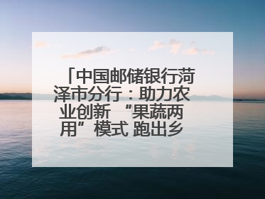 中国邮储银行菏泽市分行：助力农业创新 “果蔬两用”模式 跑出乡村振兴加速度