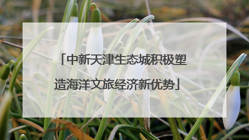 中新天津生态城积极塑造海洋文旅经济新优势