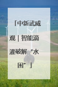 中新武威观｜智能滴灌破解“水困”