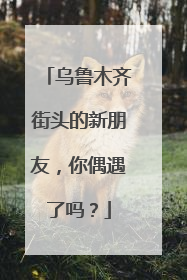 乌鲁木齐街头的新朋友，你偶遇了吗？