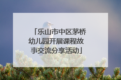 乐山市中区茅桥幼儿园开展课程故事交流分享活动