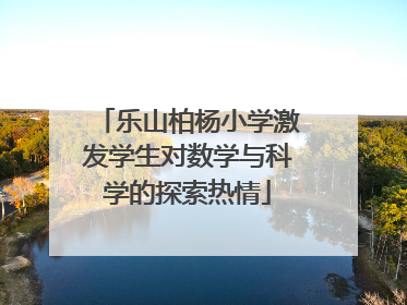 乐山柏杨小学激发学生对数学与科学的探索热情