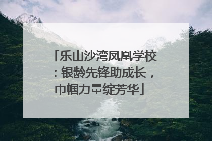 乐山沙湾凤凰学校：银龄先锋助成长，巾帼力量绽芳华