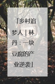 乡村追梦人｜林丹：一块豆腐的产业逆袭