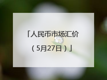 人民币市场汇价（5月27日）